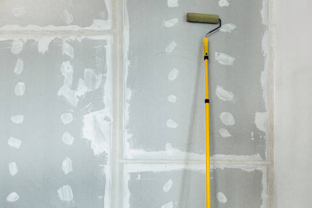 Best Real Estate Mold Inspection  in Coleytown, CT