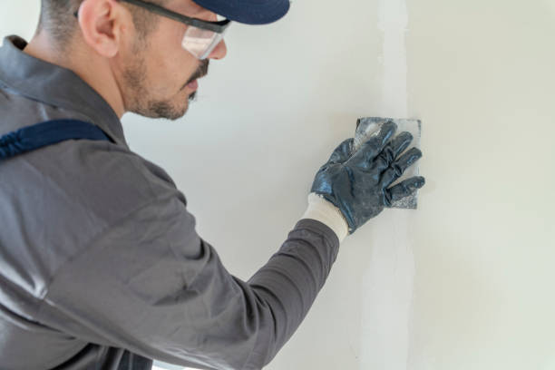 Best Mold Removal for HVAC Installations  in Coleytown, CT